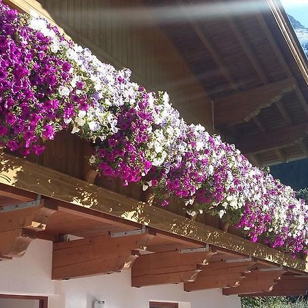 S' Ludwign Haus Apartment Sankt Leonhard im Pitztal Ngoại thất bức ảnh